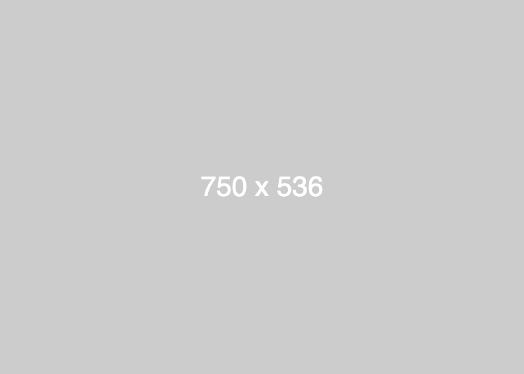 dummy_750x536_ffffff_cccccc dummy_750x536_ffffff_cccccc